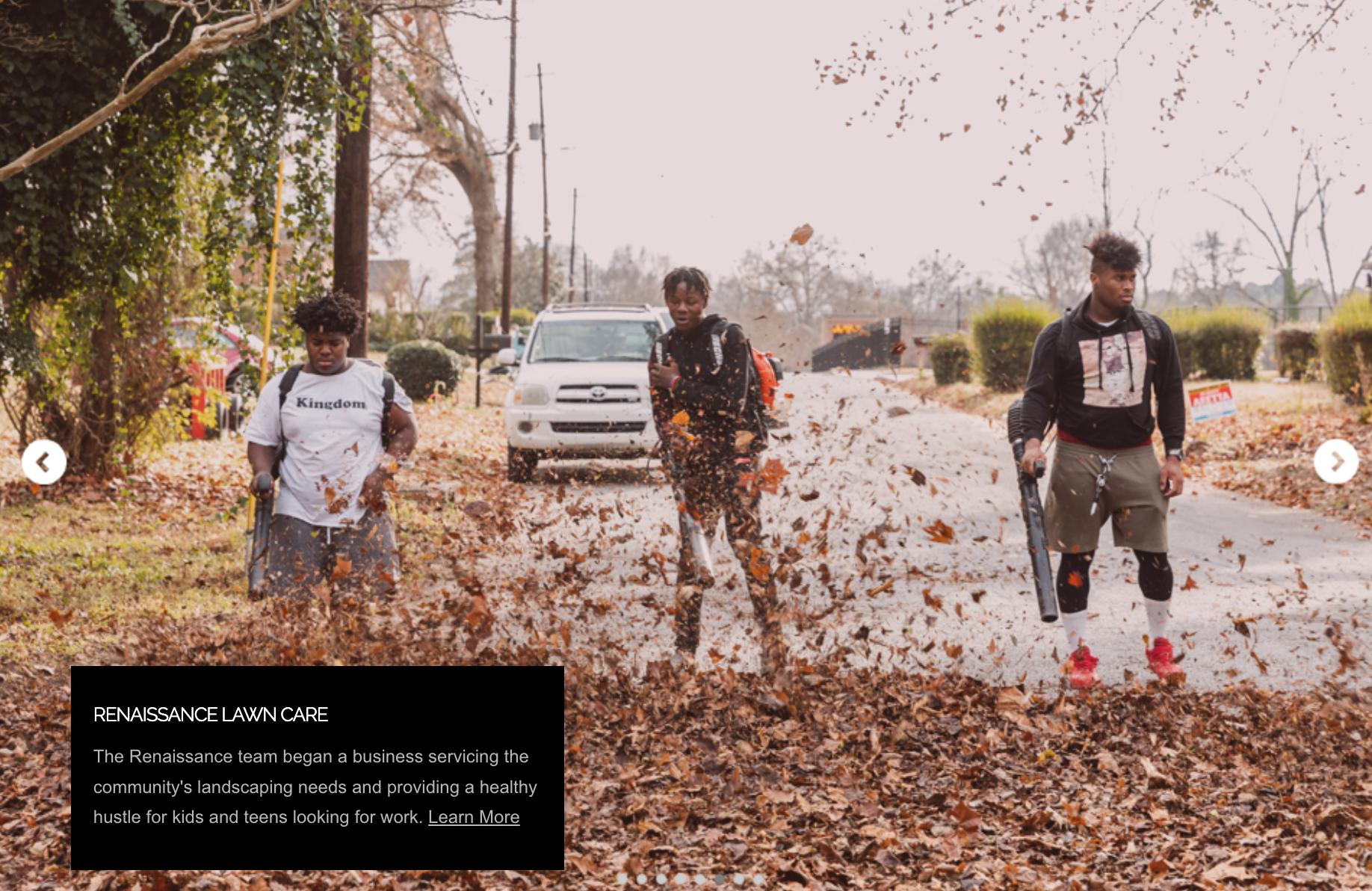 Lawncare business.png